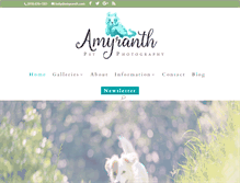 Tablet Screenshot of amyranth.com